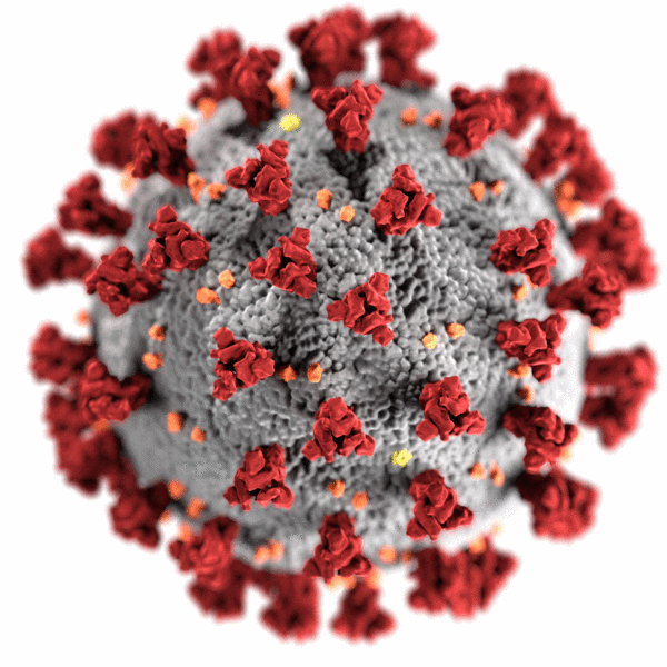 coronavirus cdc